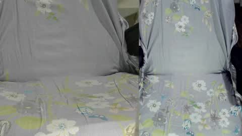 Snapshot of felixlau chatting on January 14, 10:17 am felixlau online show from January 14, 10:17 am