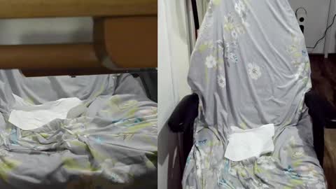 Snapshot of felixlau chatting on January 22, 12:06 pm felixlau online show from January 22, 12:06 pm