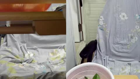 Snapshot of felixlau chatting on February 18, 11:55 am felixlau online show from February 18, 11:55 am