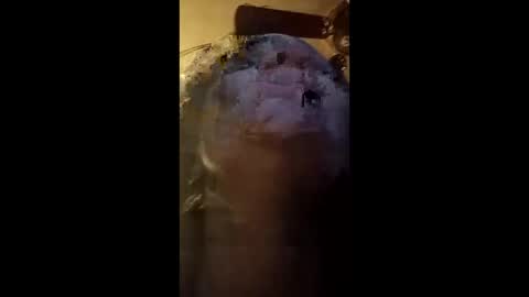 fellatio13 online show from May 6, 5:57 am