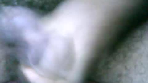 Snapshot of fer_2197 chatting on February 18, 2:06 pm fer_2197 online show from February 18, 2:06 pm