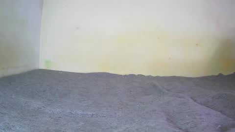 Fern Tlk online show from December 20, 7:17 pm