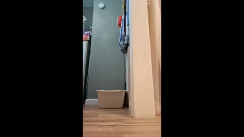 fetishdad863 online show from June 1, 2:41 pm