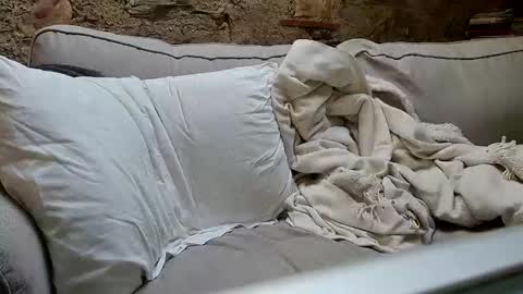 Snapshot of fidelio89 chatting on January 6, 10:35 am Fid online show from January 6, 10:35 am