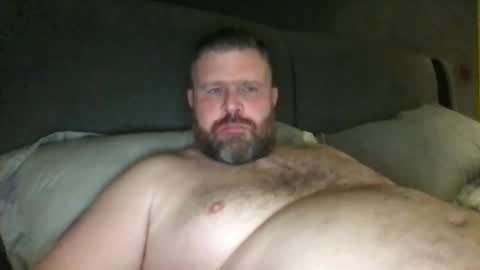 fin bear dom online show from November 23, 2:00 am