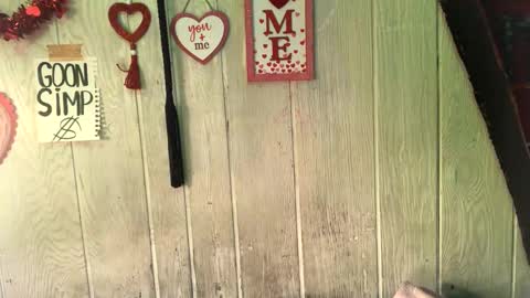 Snapshot of findommefoxi chatting on February 8, 1:54 am findommefoxi online show from February 8, 1:54 am