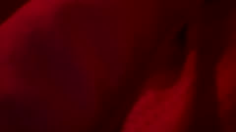 FirstTimeFeak online show from May 23, 7:46 am