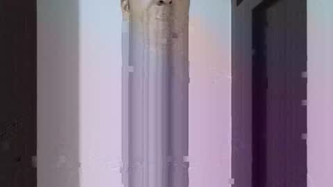 Snapshot of fitchestabs_69 chatting on April 14, 9:43 pm fitchestabs_69 online show from April 14, 9:43 pm