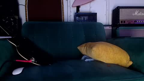 Flannel Dong online show from May 23, 11:36 am