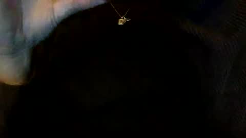 floraexploration online show from December 23, 6:27 pm