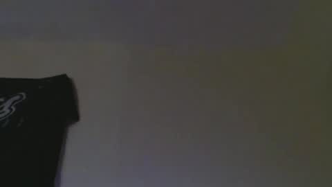 Snapshot of floridaguy0217 chatting on December 19, 5:29 pm floridaguy0217 online show from December 19, 5:29 pm