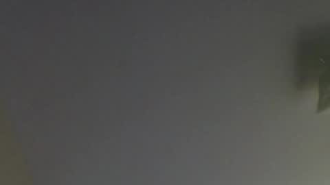 Snapshot of floridaguy0217 chatting on March 1, 9:48 pm floridaguy0217 online show from March 1, 9:48 pm