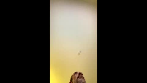 ANKI online show from November 10, 5:06 am