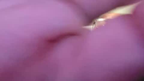 Snapshot of focusfuker chatting on November 14, 11:13 pm focusfuker online show from November 14, 11:13 pm