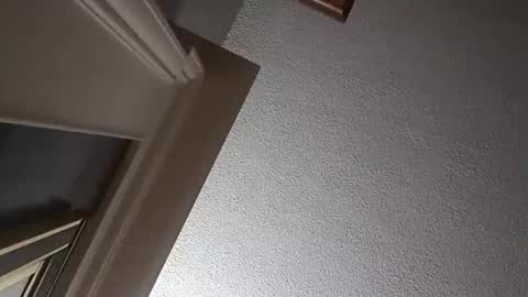 Snapshot of followthewhiterabbittail chatting on October 2, 2:29 am Have fun remembering u online show from October 2, 2:29 am