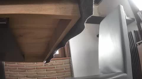 fra  71 online show from April 1, 2:25 pm