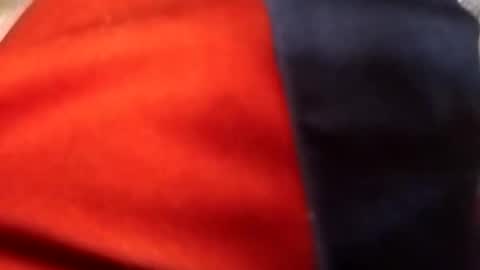 francis158915 online show from September 11, 5:02 pm