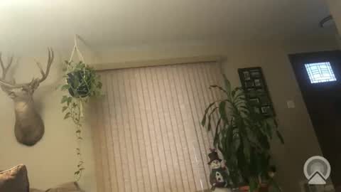 Frank online show from January 6, 1:15 pm