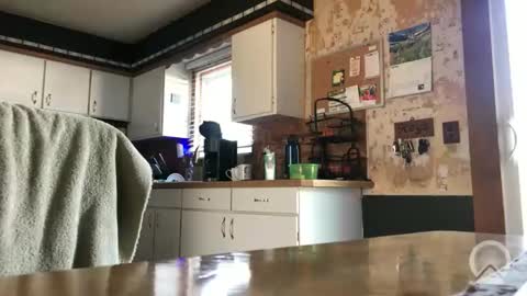 Frank online show from April 8, 12:38 pm