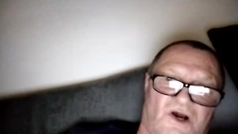 Wolfi online show from February 3, 2:34 pm