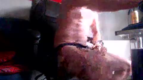 yo online show from February 28, 8:15 am