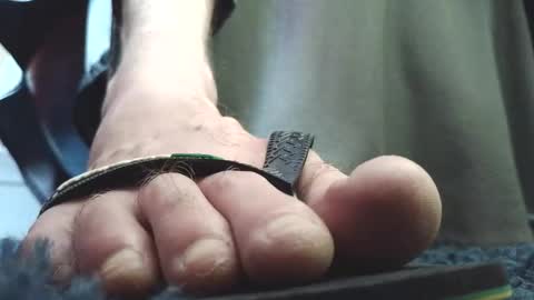 Snapshot of fredthetom12 chatting on February 4, 2:45 pm Greedy Fred online show from February 4, 2:45 pm