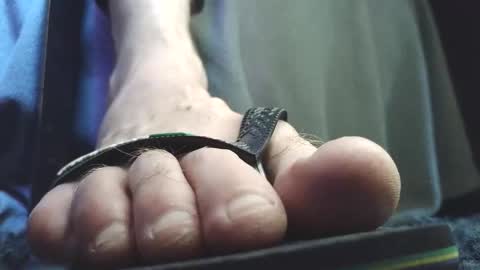 Snapshot of fredthetom12 chatting on February 5, 2:54 pm Greedy Fred online show from February 5, 2:54 pm