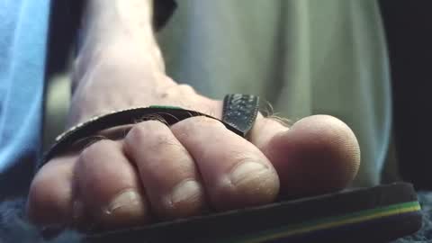 Snapshot of fredthetom12 chatting on February 8, 3:37 pm Greedy Fred online show from February 8, 3:37 pm