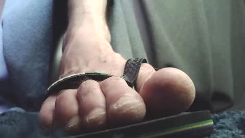 Snapshot of fredthetom12 chatting on February 18, 2:13 pm Greedy Fred online show from February 18, 2:13 pm