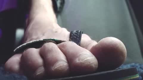 Snapshot of fredthetom12 chatting on February 20, 2:30 am Greedy Fred online show from February 20, 2:30 am