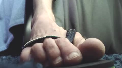 Snapshot of fredthetom12 chatting on February 23, 2:47 pm Greedy Fred online show from February 23, 2:47 pm