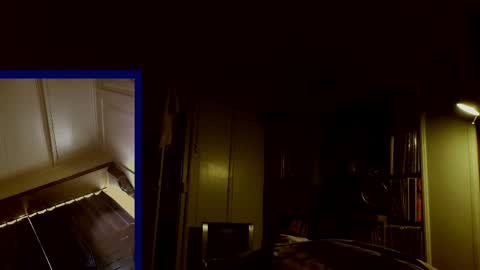 Duckmysick online show from May 22, 11:49 am