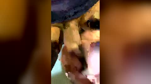 freestpeople online show from April 14, 1:55 am