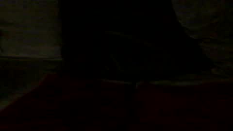 french_dick_20 online show from June 13, 6:06 pm