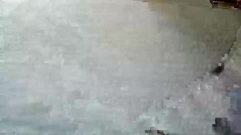 frenchpapalover online show from December 5, 12:33 pm