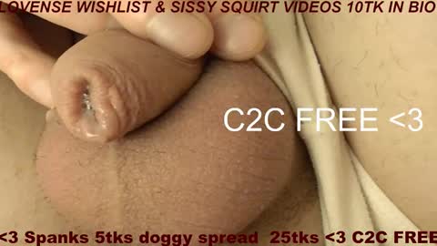 Meadow online show from February 9, 9:24 am