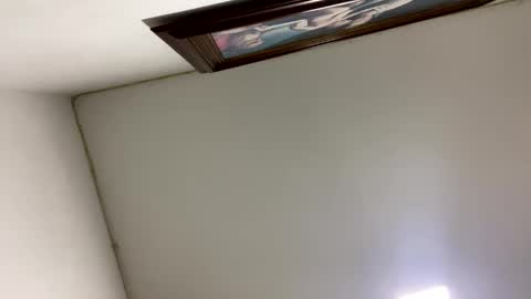 freyrvik online show from November 23, 7:19 am