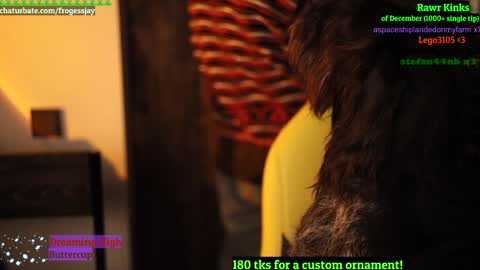   Jaywise Frogfoot  online show from December 26, 9:47 pm