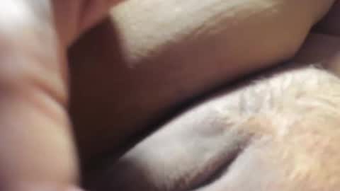 Snapshot of frumcake chatting on December 6, 1:18 am FrumCake online show from December 6, 1:18 am