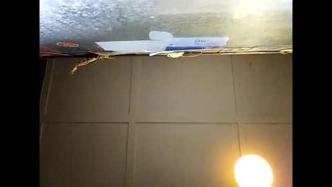 Warwick online show from November 29, 9:23 am