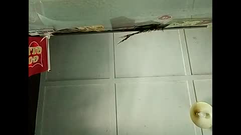 Warwick online show from December 3, 2:41 am