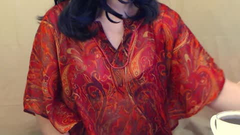 Snapshot of fun4tips chatting on January 28, 7:11 am Fun4Tips online show from January 28, 7:11 am