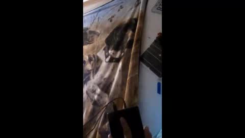 funinbed607918 online show from April 25, 2:36 am