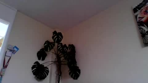 funn333222 online show from June 15, 10:28 am