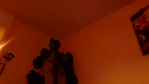 funn333222 online show from June 17, 3:42 am