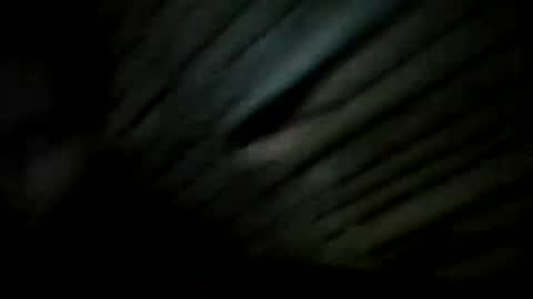 Snapshot of fuxkhergood2 chatting on December 20, 7:28 pm YoungBullAl online show from December 20, 7:28 pm