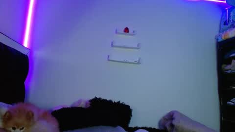 Victoria online show from March 11, 12:00 am