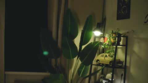 G online show from February 26, 7:24 pm