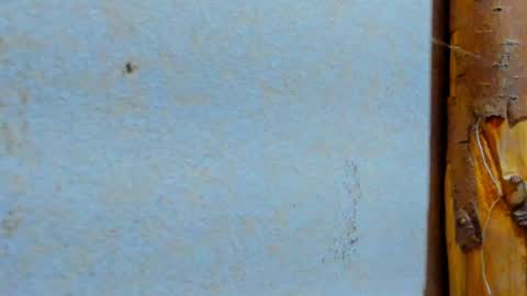 gabo_horny01 online show from July 20, 8:33 pm