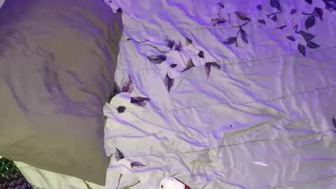 gabriel online show from March 16, 5:44 am